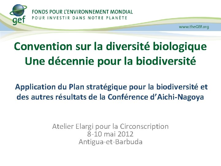 Convention sur la diversité biologique Une décennie pour la biodiversité Application du Plan stratégique