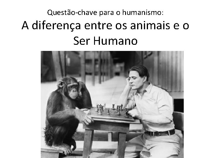 Questão-chave para o humanismo: A diferença entre os animais e o Ser Humano 