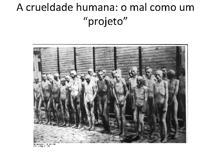 A crueldade humana: o mal como um “projeto” 