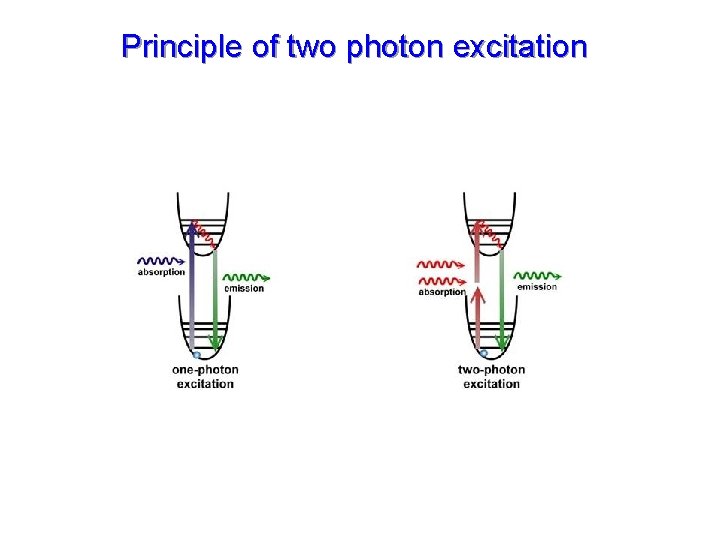 Principle of two photon excitation Principle of two photon excitation