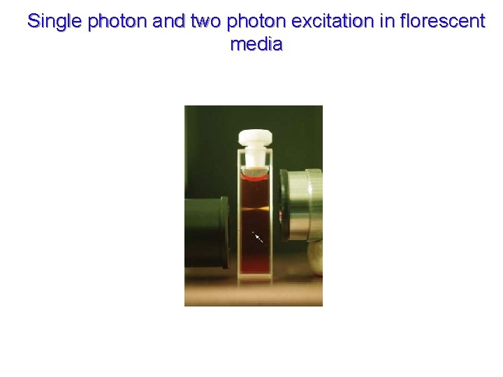 Single photon and two photon excitation in florescent media 