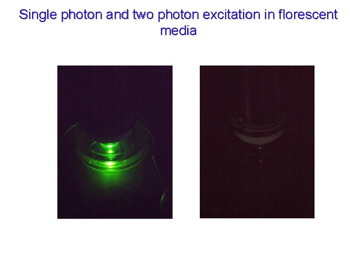 Single photon and two photon excitation in florescent media 