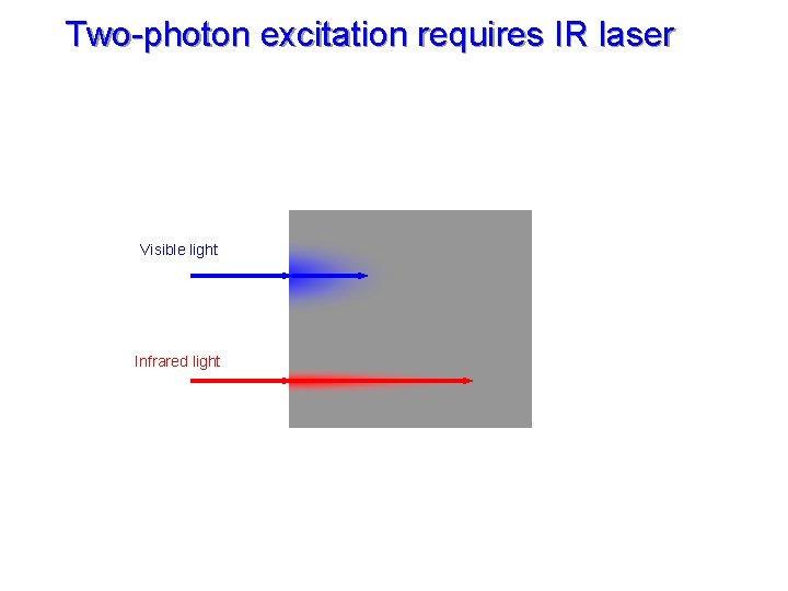 Two-photon excitation requires IR laser Scattering ~ (wavelength)-4 Visible light Infrared light IR penetrates