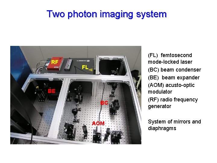 Two photon imaging system RF FL BE BC AOM (FL) femtosecond mode-locked laser (BC)