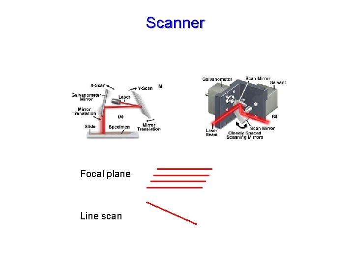 Scanner Focal plane Line scan 