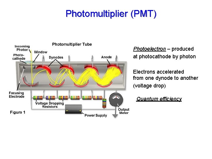 Photomultiplier (PMT) Photoelectron – produced at photocathode by photon Electrons accelerated from one dynode