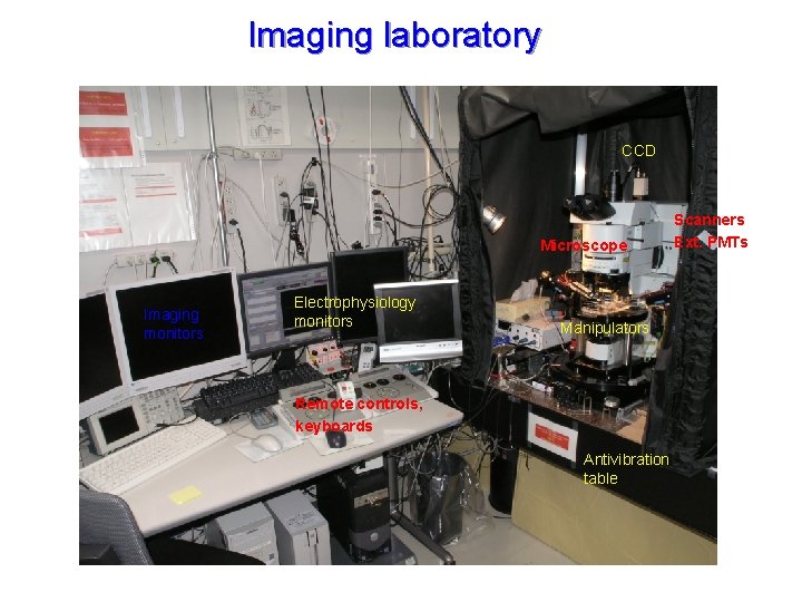 Imaging laboratory CCD Microscope Imaging monitors Electrophysiology monitors Manipulators Remote controls, keyboards Antivibration table