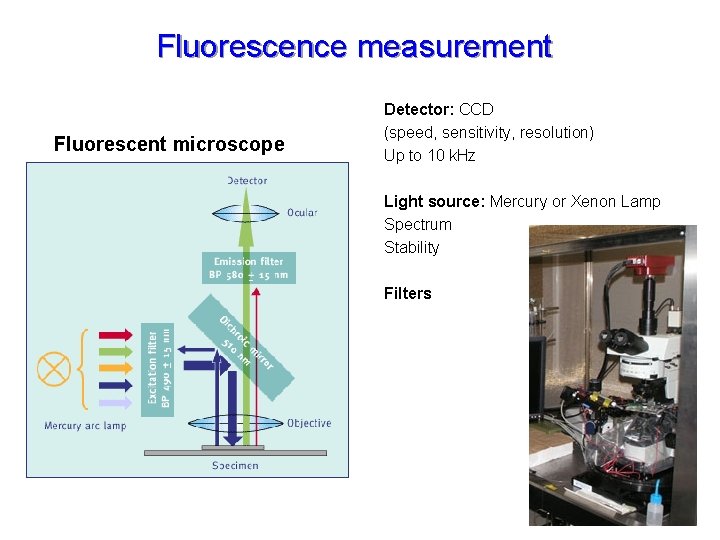 Fluorescence measurement Fluorescent microscope Detector: CCD (speed, sensitivity, resolution) Up to 10 k. Hz