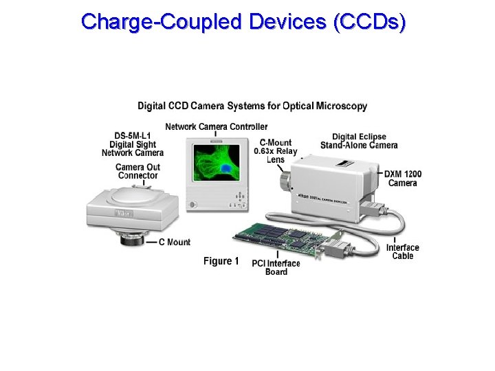 Charge-Coupled Devices (CCDs) 