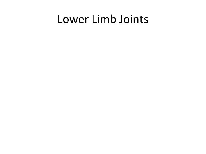 Lower Limb Joints 