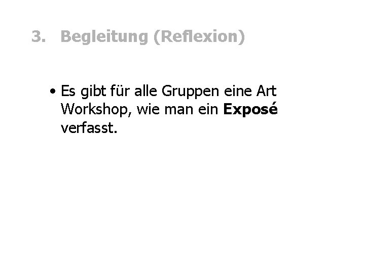 3. Begleitung (Reflexion) • Es gibt für alle Gruppen eine Art Workshop, wie man