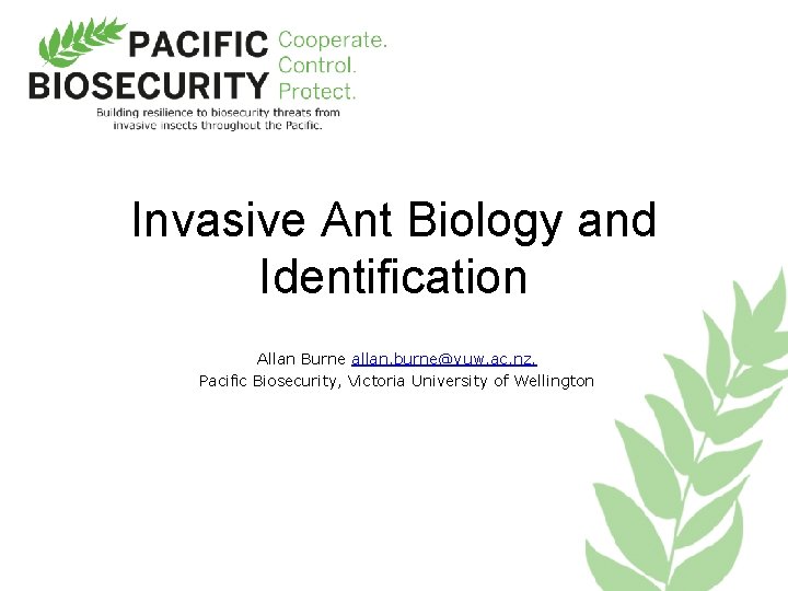 Invasive Ant Biology and Identification Allan Burne allan. burne@vuw. ac. nz, Pacific Biosecurity, Victoria