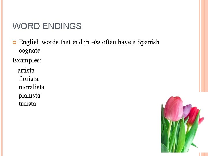 WORD ENDINGS English words that end in -ist often have a Spanish cognate. Examples: