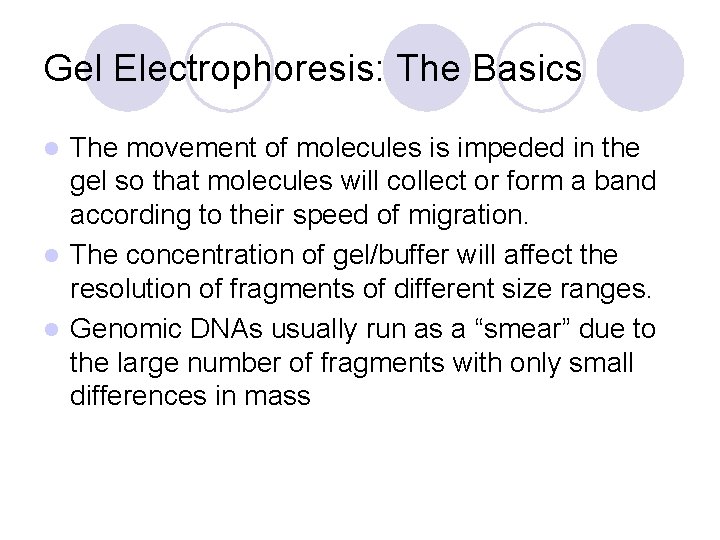 Gel Electrophoresis: The Basics The movement of molecules is impeded in the gel so