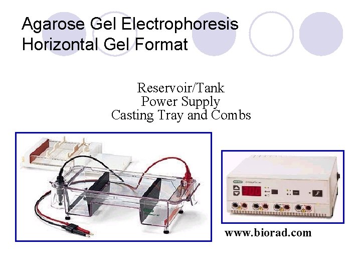 Agarose Gel Electrophoresis Horizontal Gel Format Reservoir/Tank Power Supply Casting Tray and Combs www.