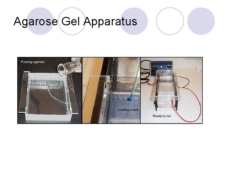Agarose Gel Apparatus 