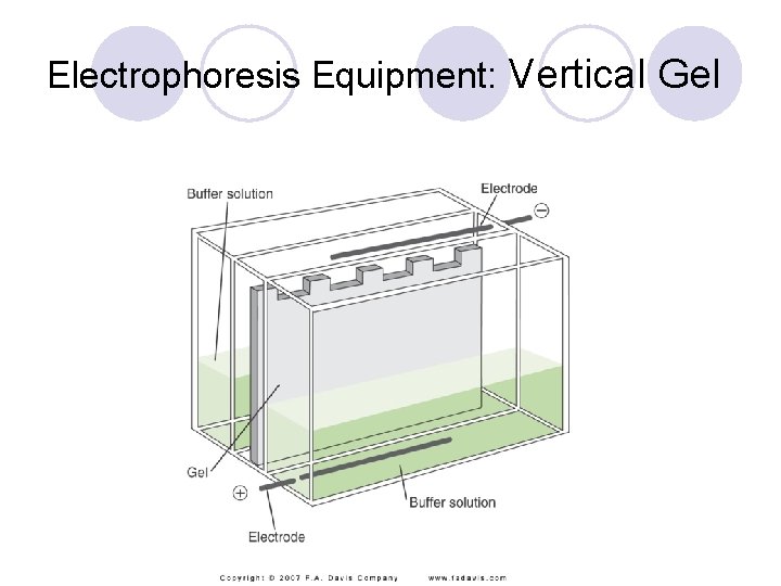 Electrophoresis Equipment: Vertical Gel 