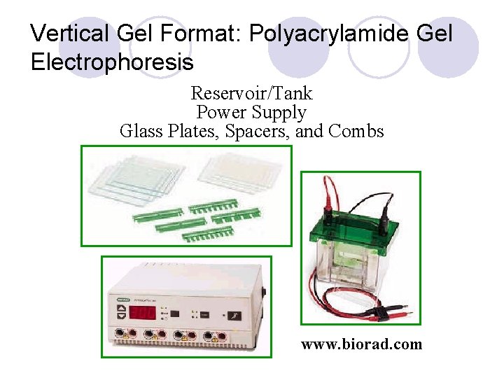 Vertical Gel Format: Polyacrylamide Gel Electrophoresis Reservoir/Tank Power Supply Glass Plates, Spacers, and Combs