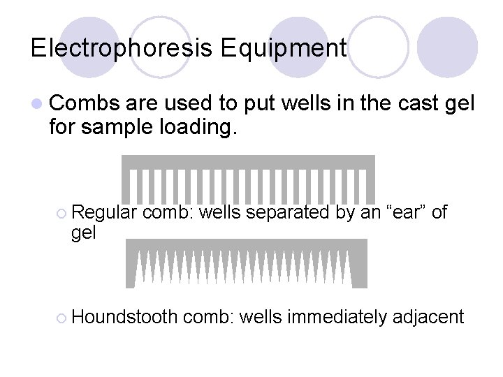 Electrophoresis Equipment l Combs are used to put wells in the cast gel for