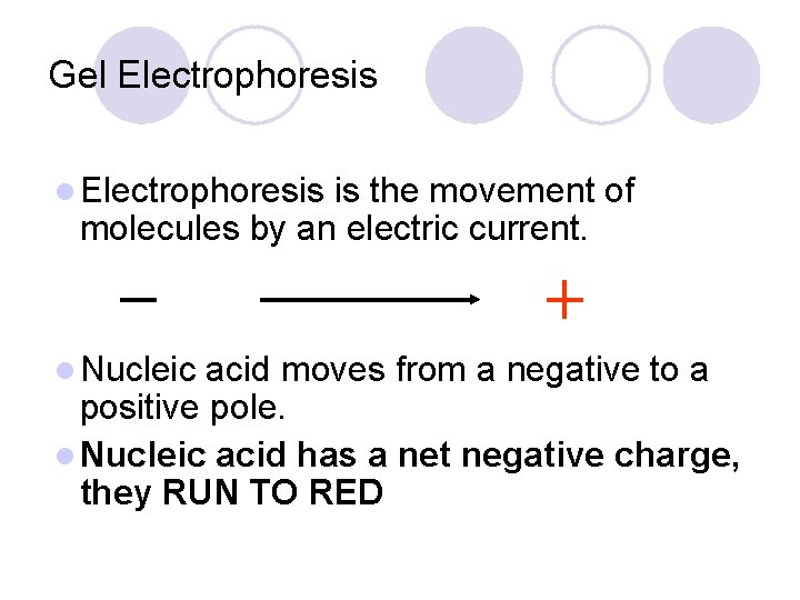 Gel Electrophoresis is the movement of molecules by an electric current. l Nucleic acid