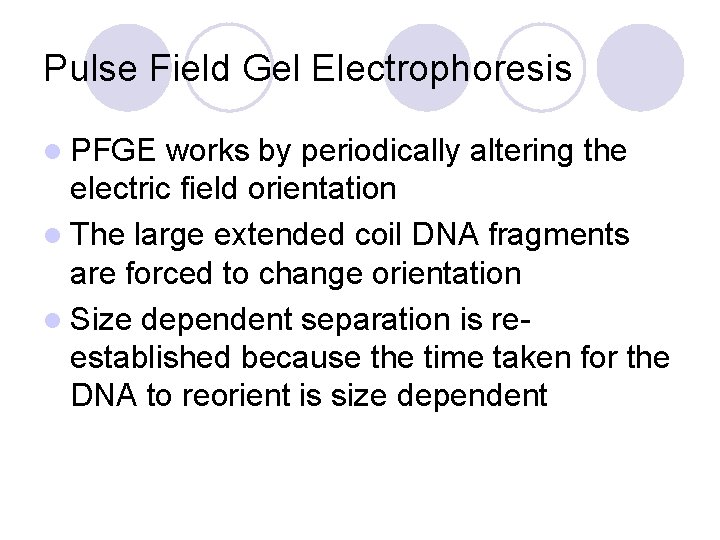 Pulse Field Gel Electrophoresis l PFGE works by periodically altering the electric field orientation