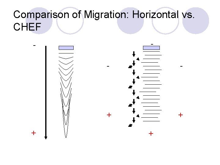 Comparison of Migration: Horizontal vs. CHEF - - + + + 