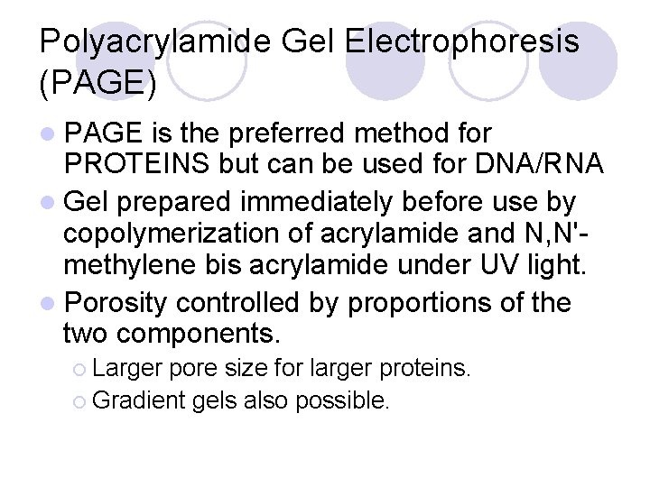 Polyacrylamide Gel Electrophoresis (PAGE) l PAGE is the preferred method for PROTEINS but can