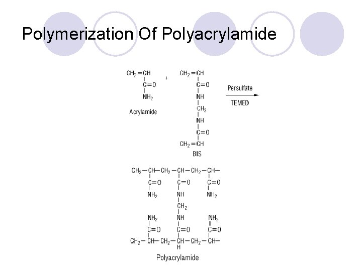 Polymerization Of Polyacrylamide 