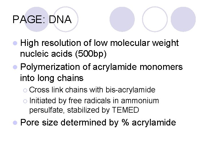 PAGE: DNA l High resolution of low molecular weight nucleic acids (500 bp) l