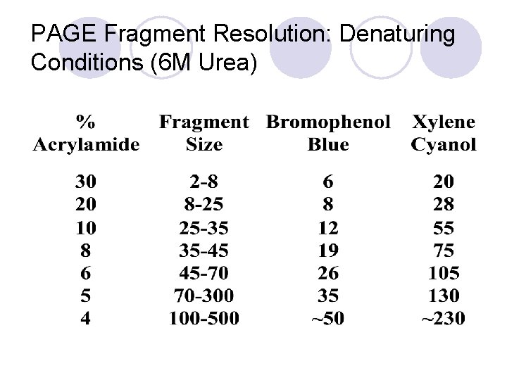 PAGE Fragment Resolution: Denaturing Conditions (6 M Urea) 