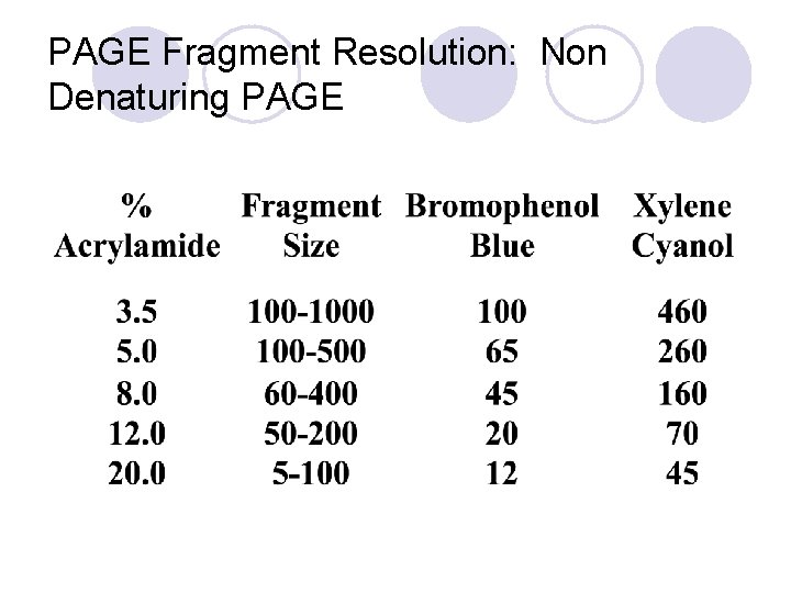PAGE Fragment Resolution: Non Denaturing PAGE 