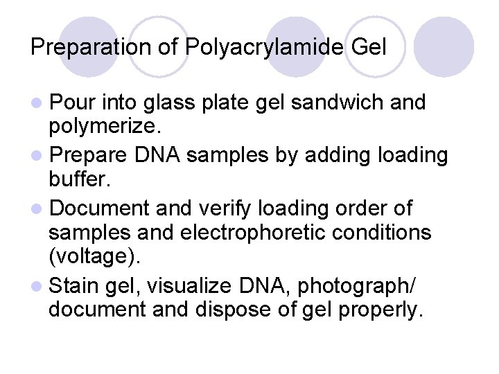 Preparation of Polyacrylamide Gel l Pour into glass plate gel sandwich and polymerize. l