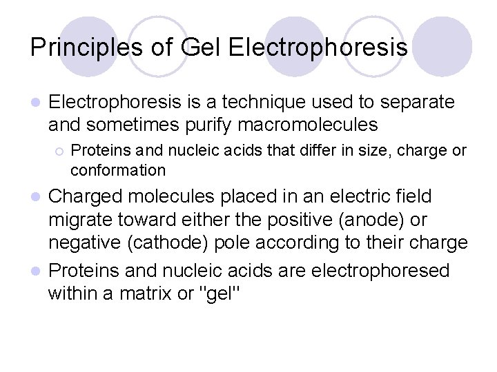 Principles of Gel Electrophoresis is a technique used to separate and sometimes purify macromolecules