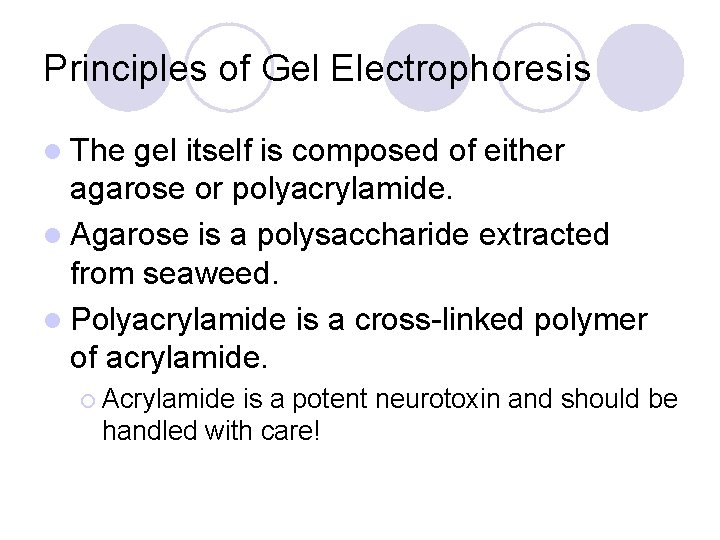 Principles of Gel Electrophoresis l The gel itself is composed of either agarose or