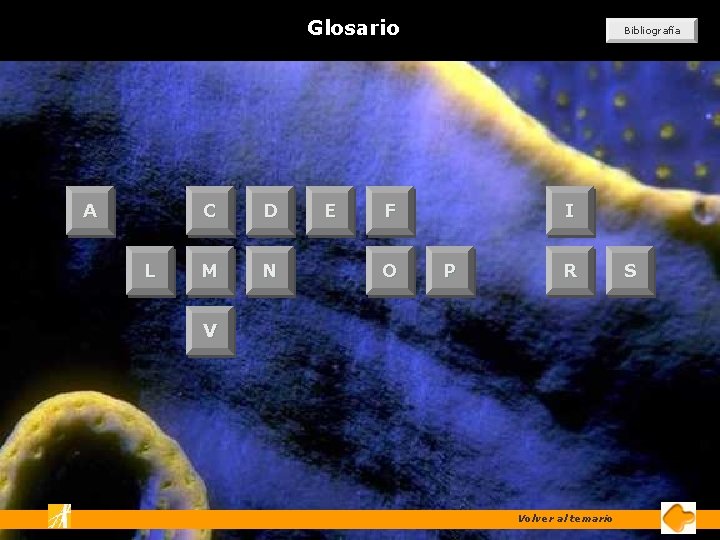 Glosario A L C D M N E Bibliografía F O I P R Glosario A L C D M N E Bibliografía F O I P R