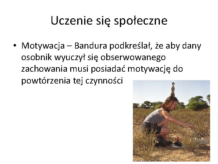 Uczenie się społeczne • Motywacja – Bandura podkreślał, że aby dany osobnik wyuczył się