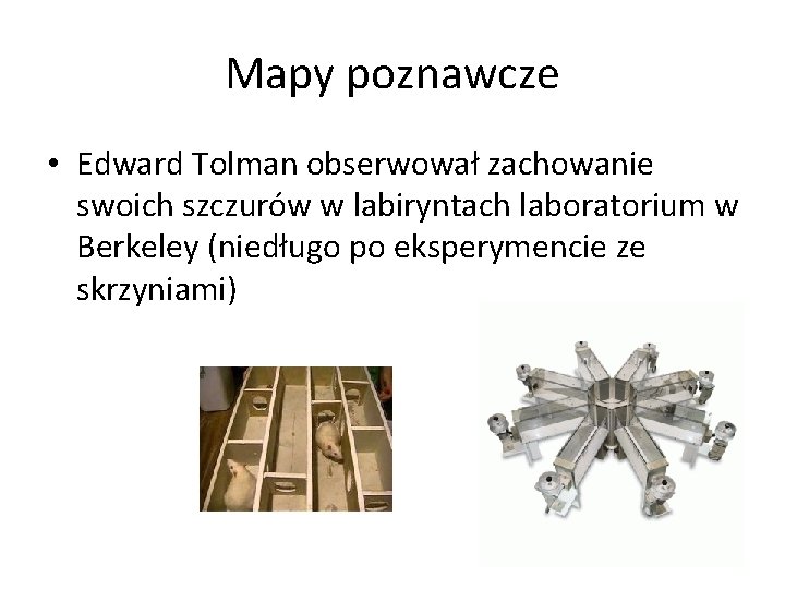 Mapy poznawcze • Edward Tolman obserwował zachowanie swoich szczurów w labiryntach laboratorium w Berkeley