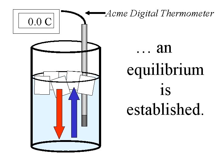 0. 0 C Acme Digital Thermometer … an equilibrium is established. 