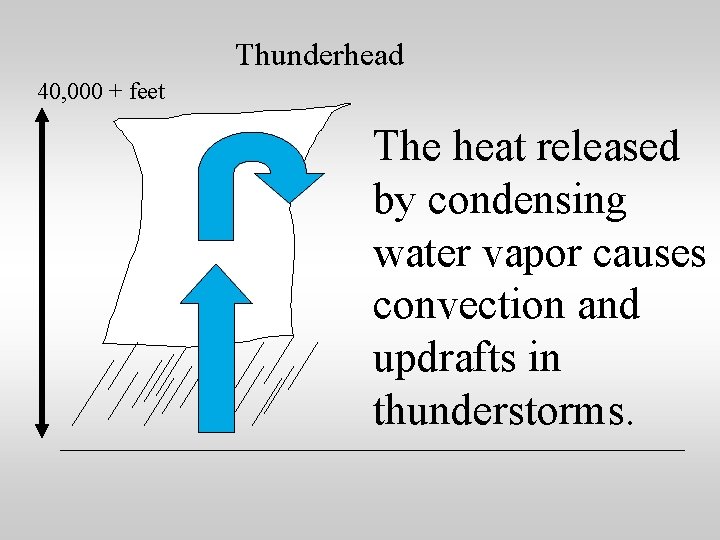 Thunderhead 40, 000 + feet The heat released by condensing water vapor causes convection