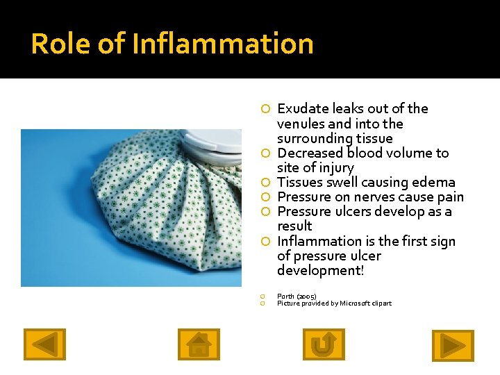 Role of Inflammation Exudate leaks out of the venules and into the surrounding tissue