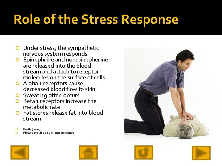 Role of the Stress Response Under stress, the sympathetic nervous system responds Epinephrine and