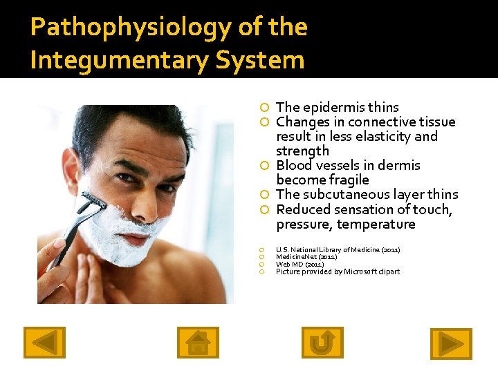 Pathophysiology of the Integumentary System The epidermis thins Changes in connective tissue result in