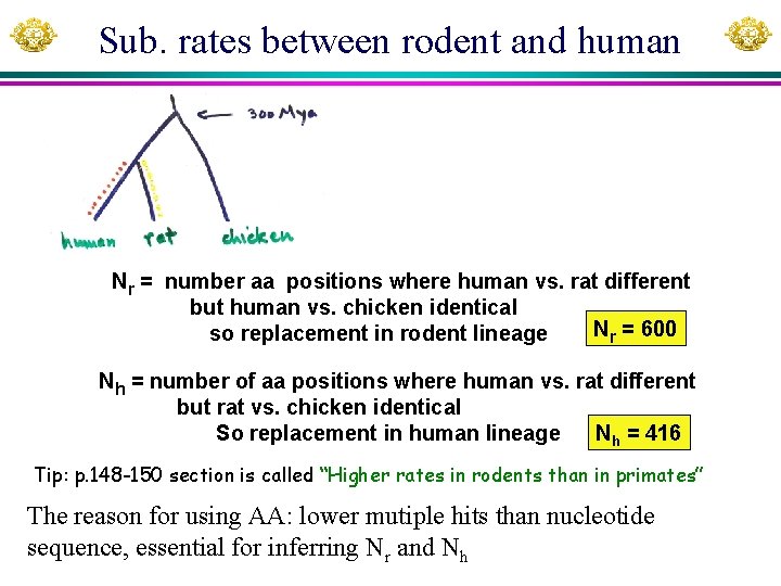 Sub. rates between rodent and human Nr = number aa positions where human vs.