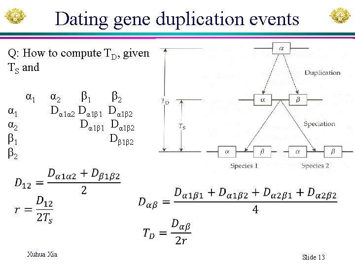 Dating gene duplication events Q: How to compute TD, given TS and α 1