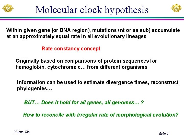 Molecular clock hypothesis Within given gene (or DNA region), mutations (nt or aa sub)