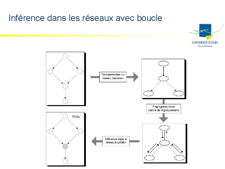 Inférence dans les réseaux avec boucle 