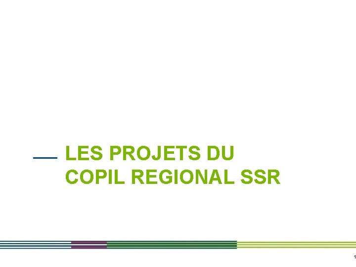 LES PROJETS DU COPIL REGIONAL SSR 1 LES PROJETS DU COPIL REGIONAL SSR 1