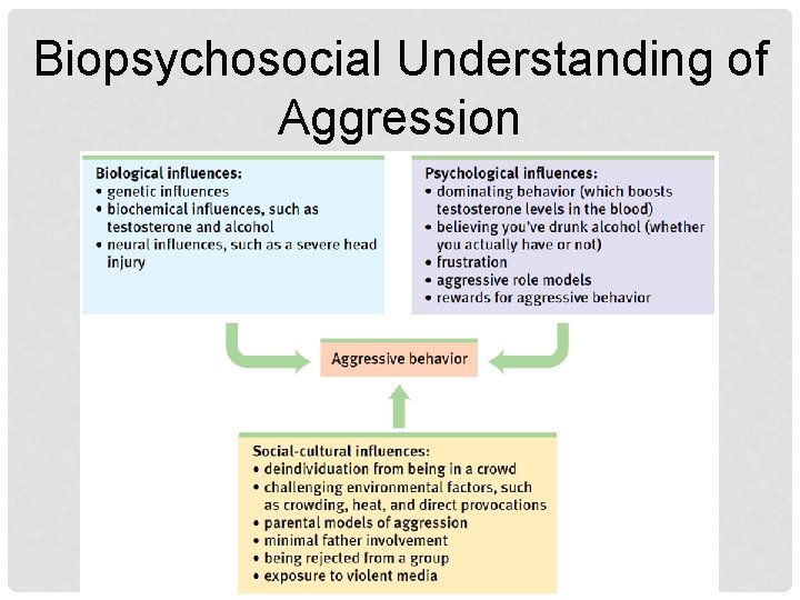 Biopsychosocial Understanding of Aggression 