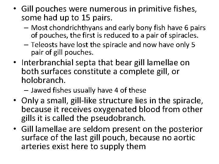  • Gill pouches were numerous in primitive fishes, some had up to 15