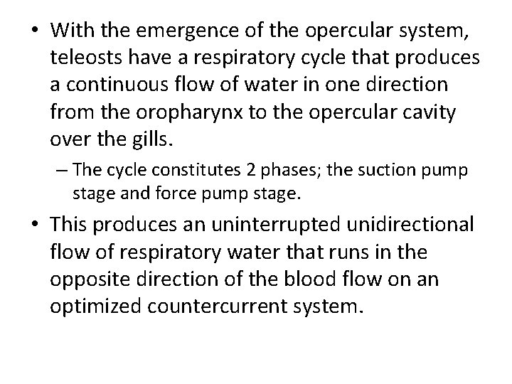  • With the emergence of the opercular system, teleosts have a respiratory cycle